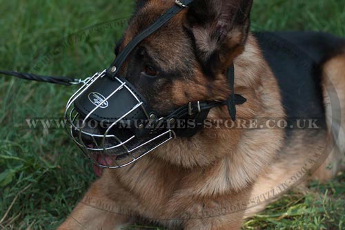 The Best German Shepherd Muzzles UK