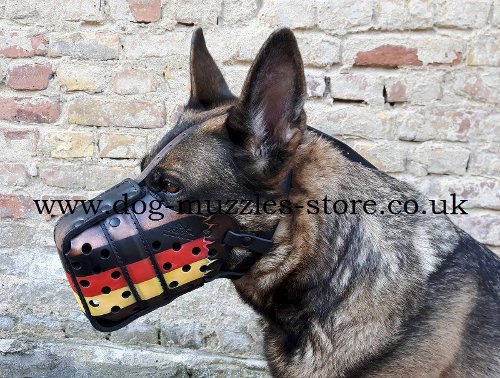 Painted Dog Muzzle K9