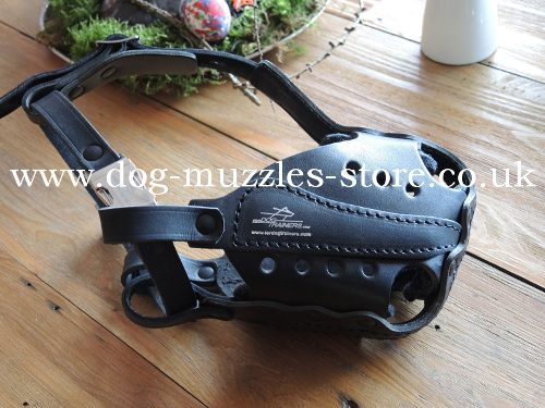 New attack dog muzzle