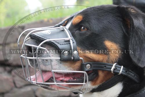 Wire Basket Muzzle for Dogs