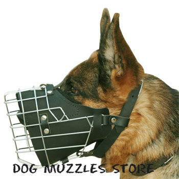 working dog muzzle