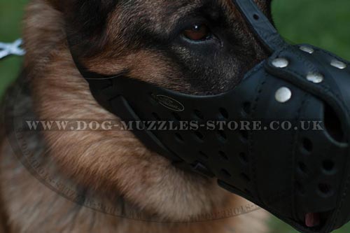 K9 Dog Muzzle for German Shepherd