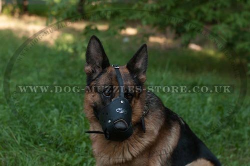 Leather Dog Muzzle for German Shepherd