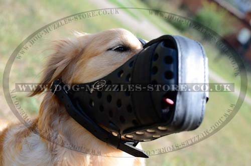Leather Dog Muzzle for Biting