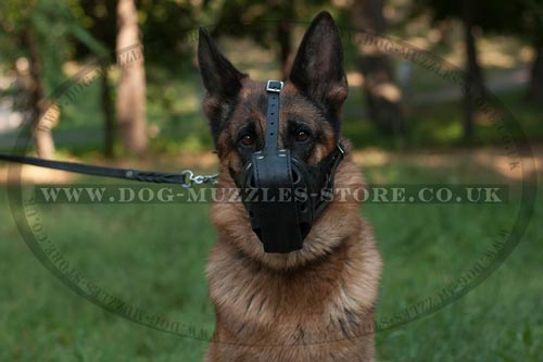 German Shepherd Dog Training Muzzle