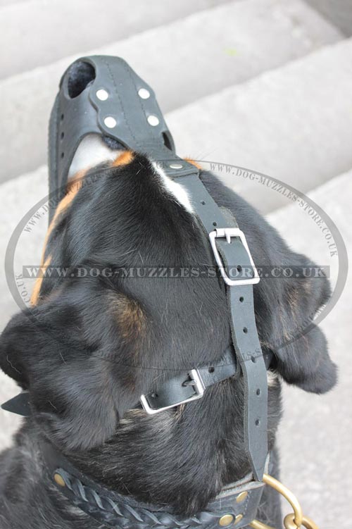 Large Dog Muzzle for Attack Dog Training