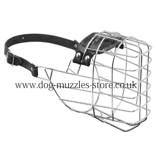 The Best German Shepherd Muzzle UK