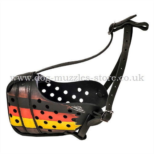 Painted Dog Muzzle UK