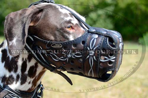 Large dog muzzle for training