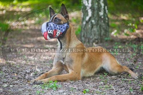 Leather dog muzzle