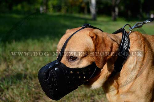 Leather Dog Muzzle for Large Breeds