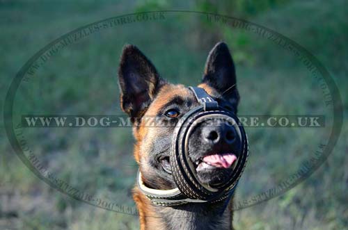 Soft dog muzzle