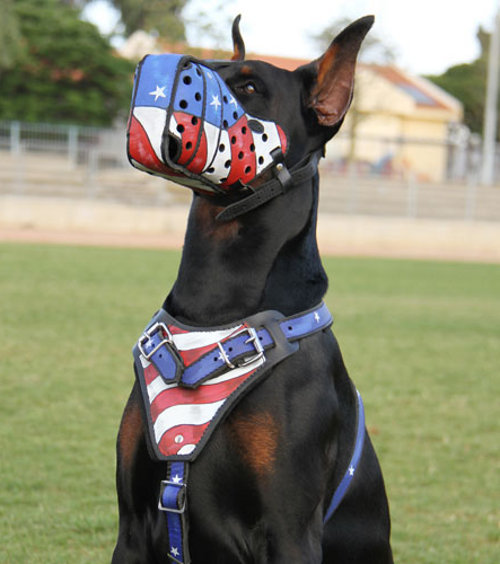 Dog harness