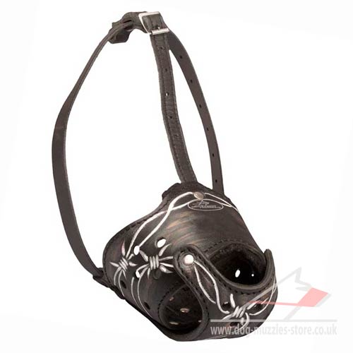 Designer leather muzzle