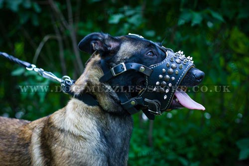 Leather Padded Dog Muzzle