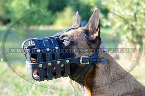 Leather dog muzzle