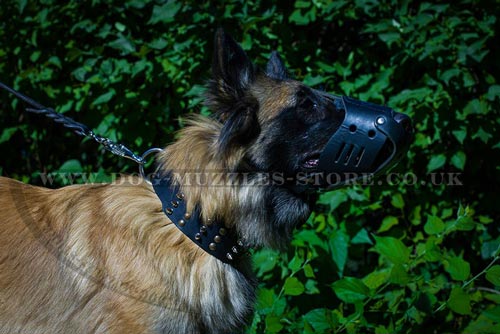 Closed Dog Leather Muzzle for Belgian Shepherd Tervuren