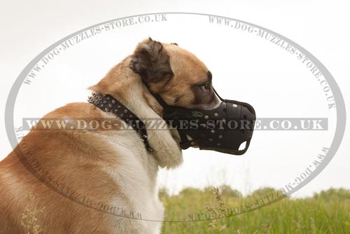 Big Dog Muzzle for Central Asian Shepherd Dog Size