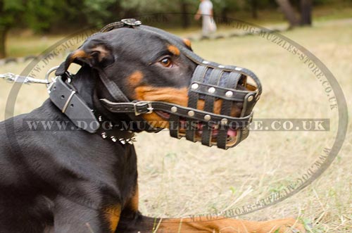 soft leather dog muzzle for sale