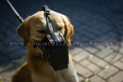 Leather Dog Muzzle for Biting
