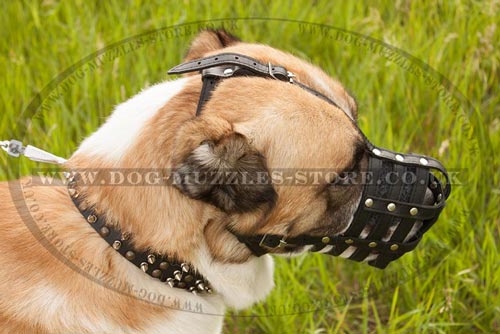 Alabai Muzzle for Large Dogs