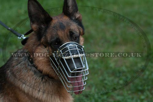 Padded Wire Dog Muzzle for German Shepherd