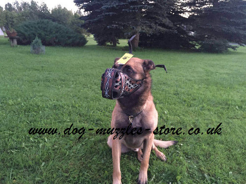 Large dog muzzle for Belgian Malinois