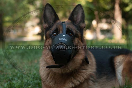 German Shepherd Dog Muzzle for Biting