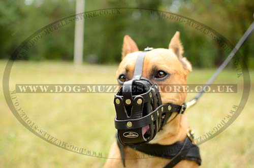leather dog muzzle
