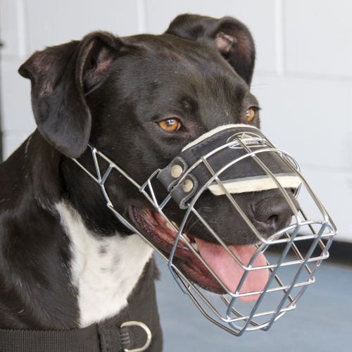 wire dog muzzle