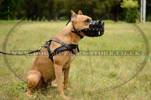 dog leather muzzle