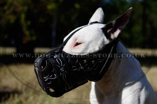 Police Dog Training Muzzle