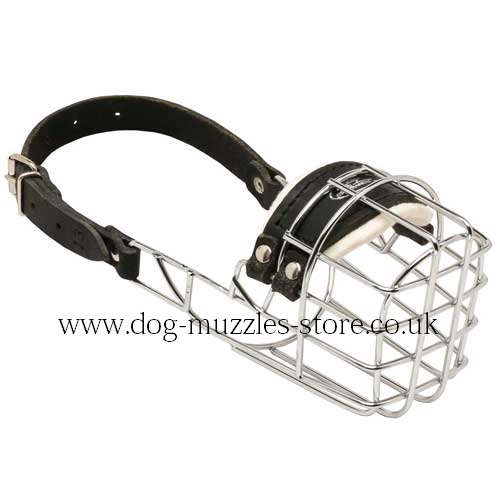 Poodle Muzzle - Dog Muzzles That Allow Drinking