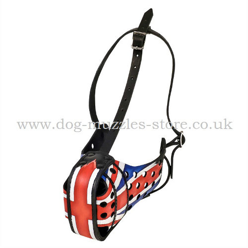 K9 Dog Muzzle UK