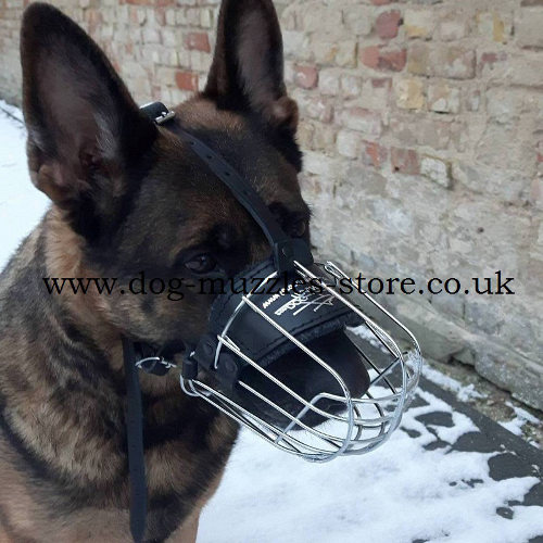 German Shepherd Muzzle