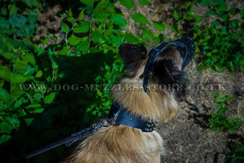 Adjustable Dog Muzzle for Long Snout Dogs