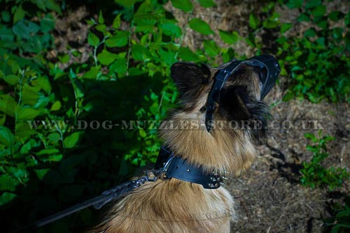 Adjustable Dog Muzzle for Long Snout Dogs