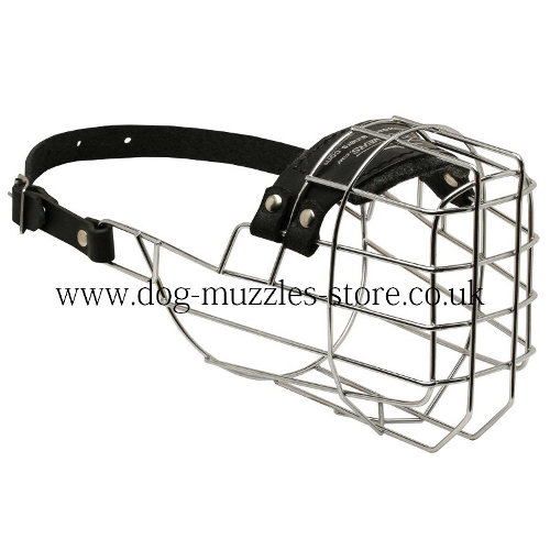 Dog Muzzles UK