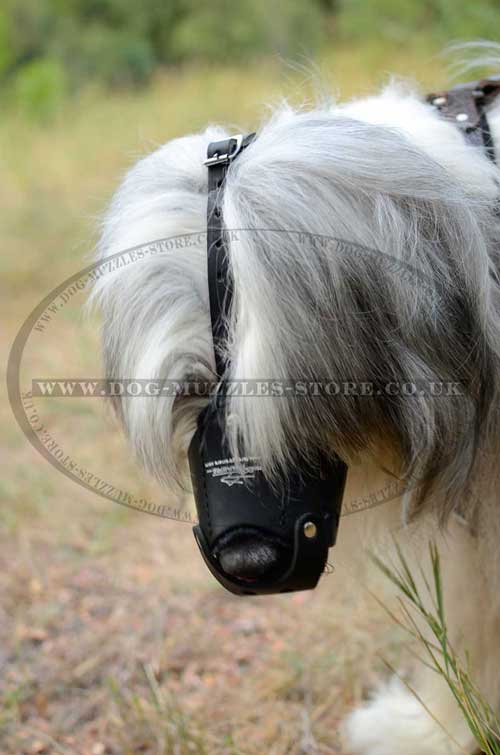 Russian Shepherd Leather Dog Muzzle for Training