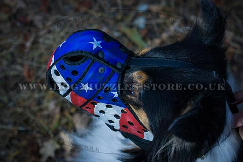 Service Dog Muzzle for Collie Dog Training