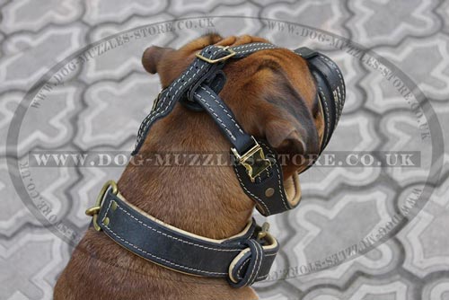 Short Nose Muzzle for Boxer Dog Breed