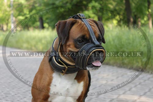 Bark Stopper Boxer Dog Muzzle for Short Snouted Dogs