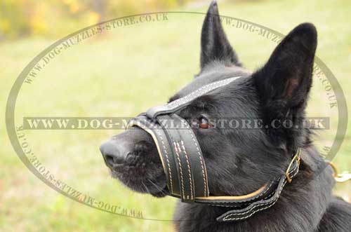soft dog muzzle
