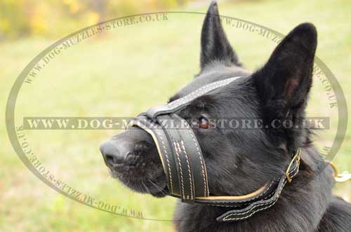 German Shephard soft padded dog muzzle