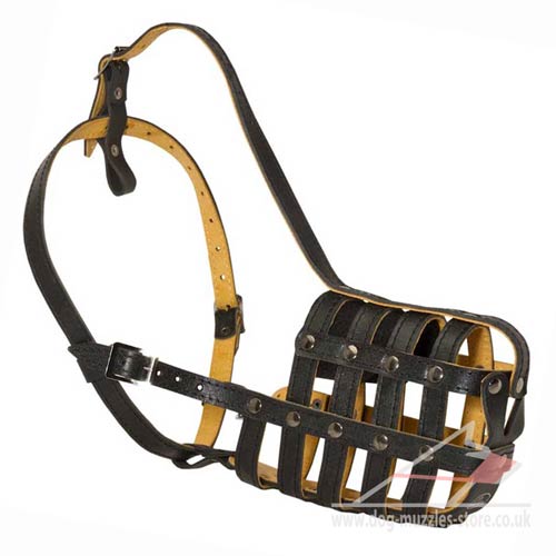St Bernard Muzzle Strong Leather Basket Big Dog Muzzle, Padded