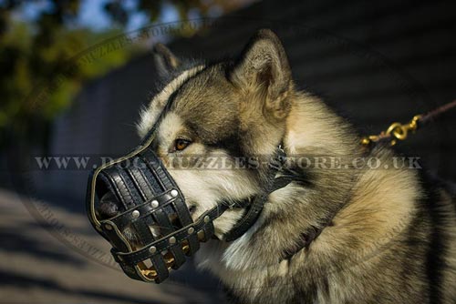 Soft Leather Dog Muzzle with Calve Lining