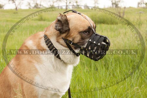 Soft Muzzle for Large Dogs