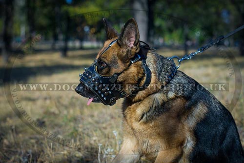 Designer Dog Muzzle for German Shepherd