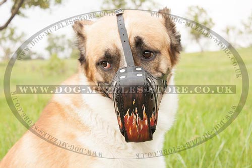 Strong Dog Muzzle for Large Alabai Dog