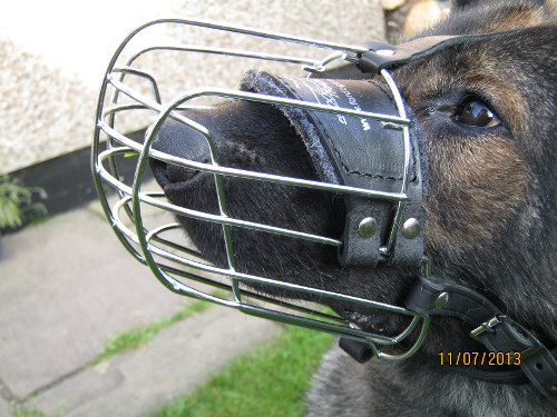 GSD Training Basket Dog Muzzle